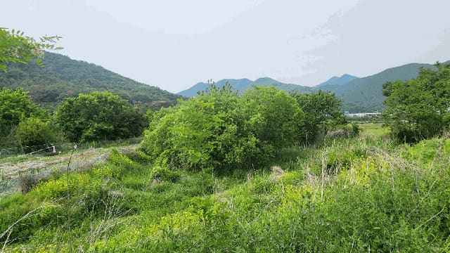 B000420202501300005005.jpg