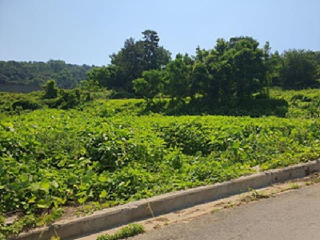 B000420202501300005221.jpg