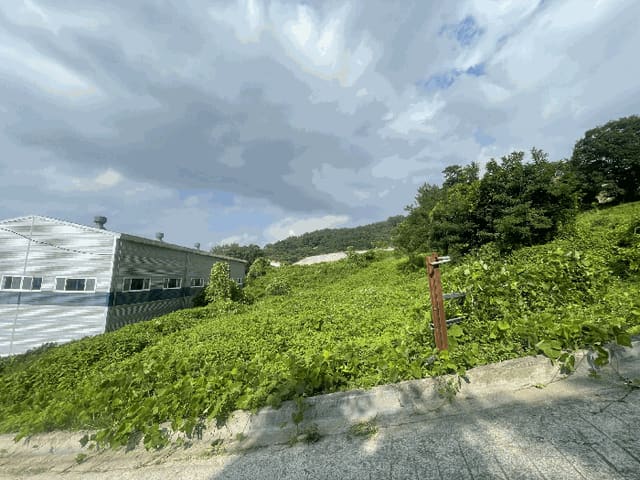 B000420202501300005223.jpg
