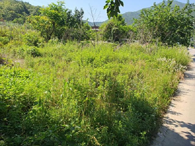 B000420202501300005481.jpg