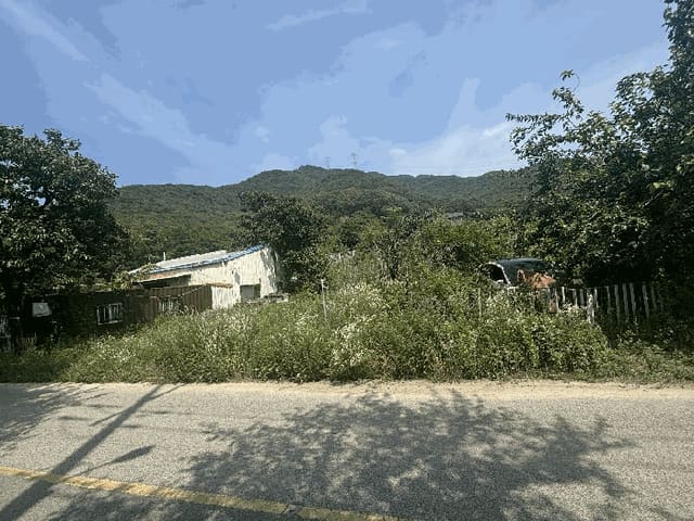 B000420202501300005484.jpg