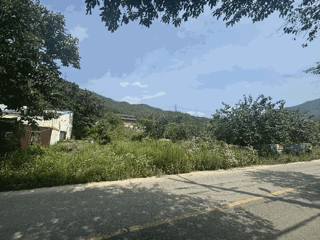 B000420202501300005482.jpg