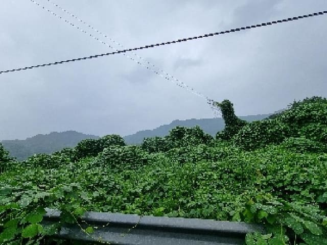 B000420202501300005781.jpg