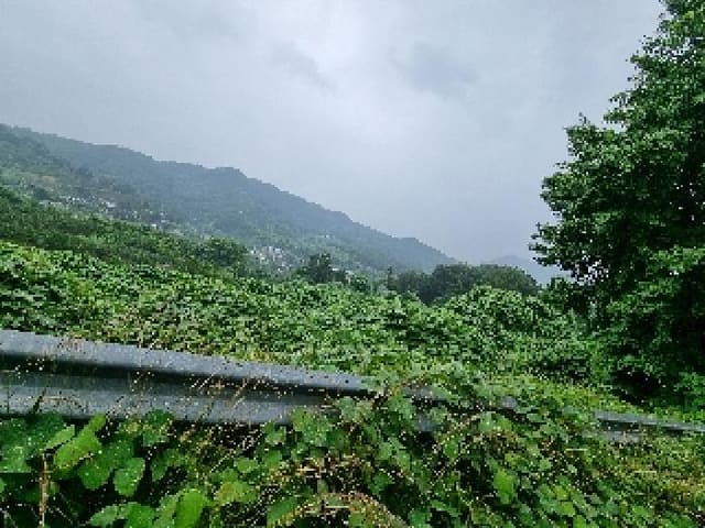 B000420202501300005782.jpg