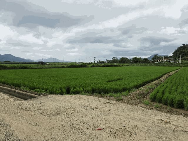 B000420202501300005984.jpg