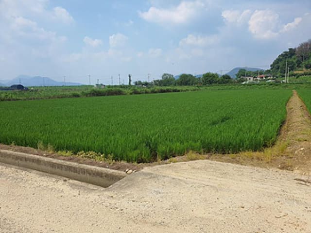 B000420202501300005981.jpg