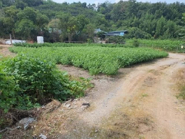 B000420202501300006143.jpg
