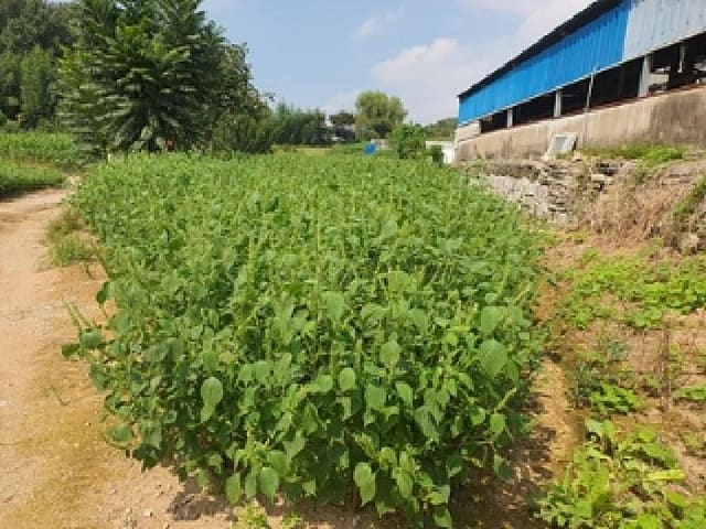 B000420202501300006142.jpg