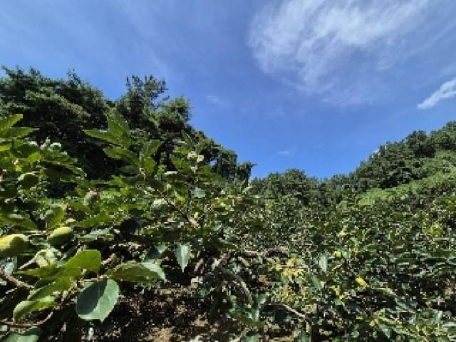 B000420202501300006144.jpg
