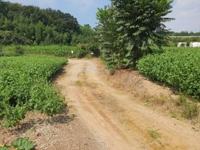 B000420202501300006141.jpg