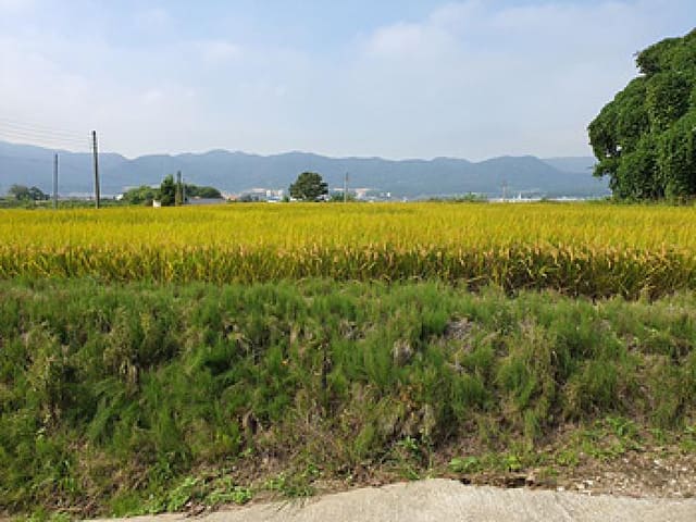 B000420202501300006181.jpg