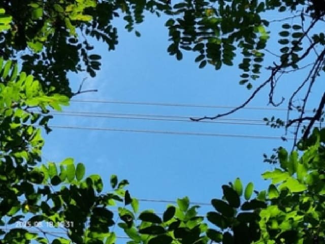 B000420202501300006394.jpg