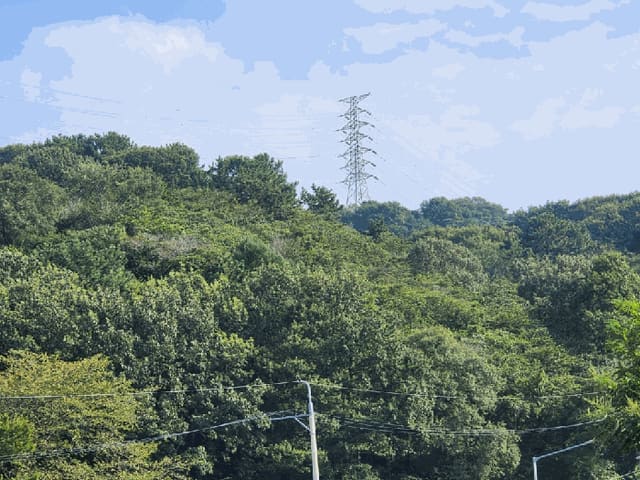 B000420202501300006404.jpg