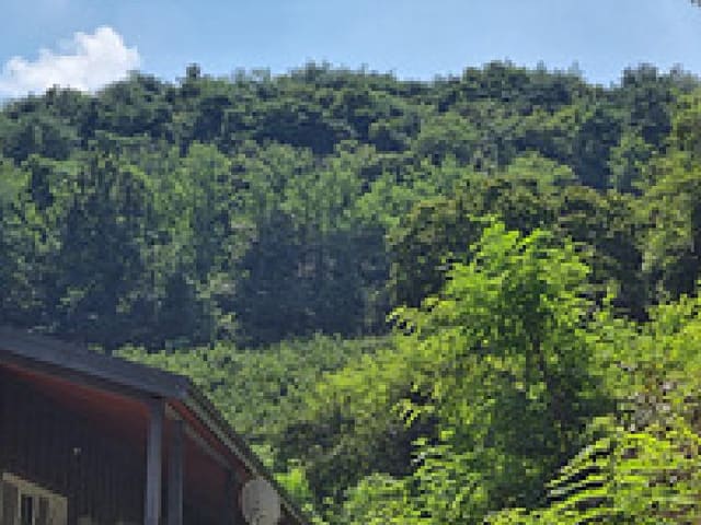 B000420202501300006559.jpg