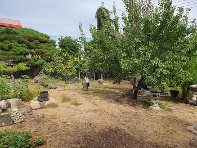 B000420202501300006784.jpg