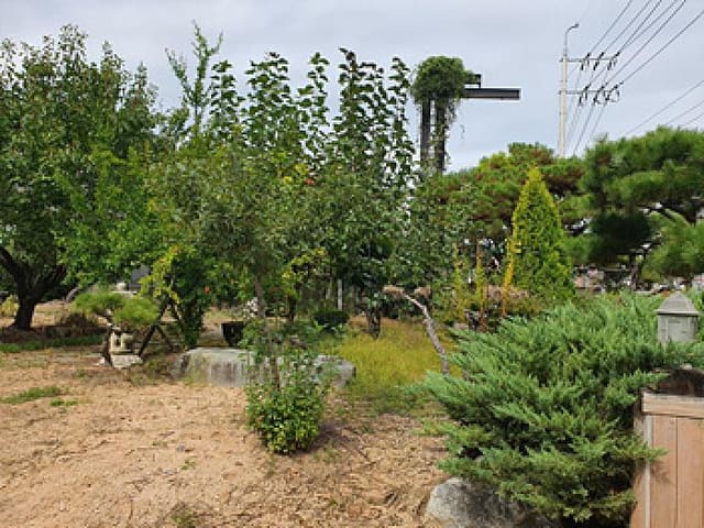 B000420202501300006783.jpg