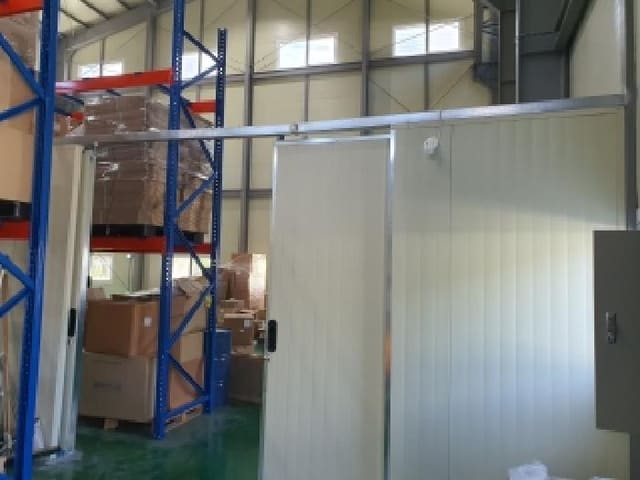B000420202501300006803.jpg
