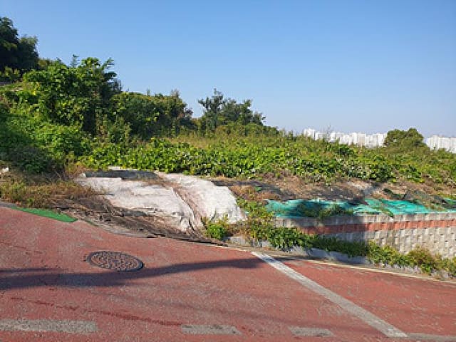B000420202501300007011.jpg