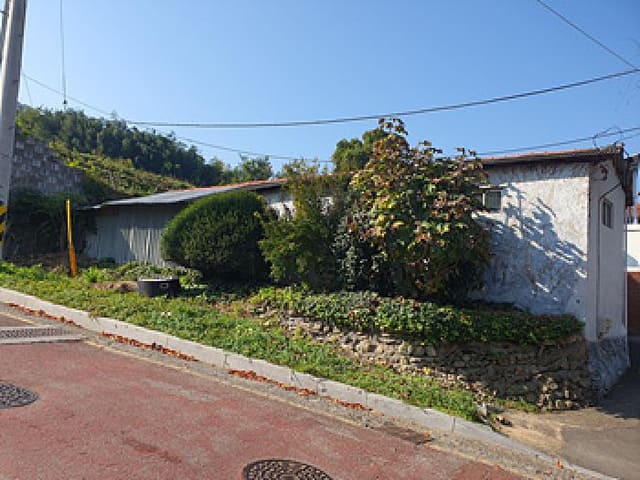 B000420202501300007014.jpg