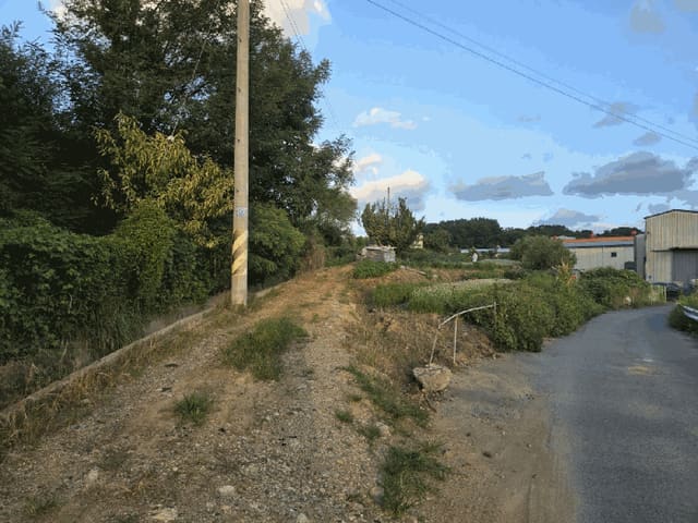 B000420202501300007023.jpg