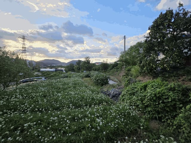 B000420202501300007024.jpg