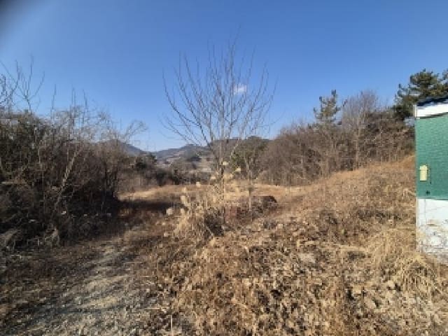 B000420202501300008794.jpg