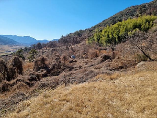 B000420202501300101464.jpg