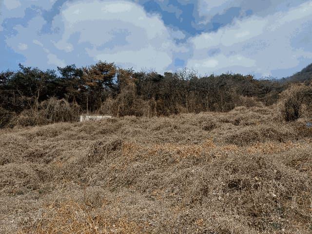 B000420202501300110474.jpg