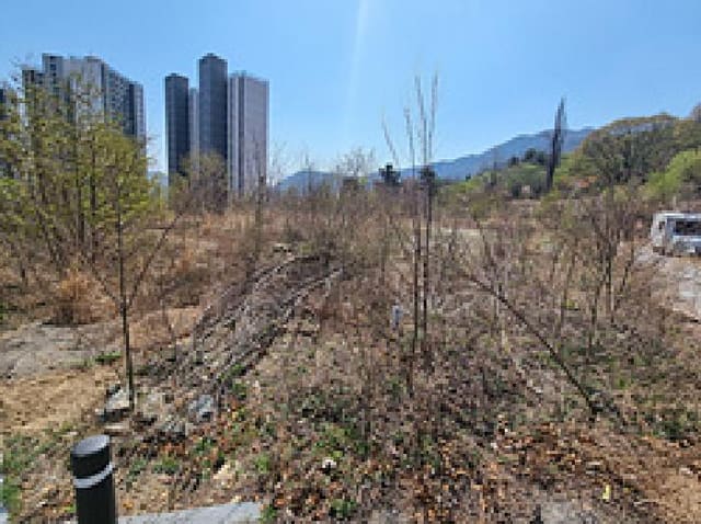 B000420202501300112133.jpg