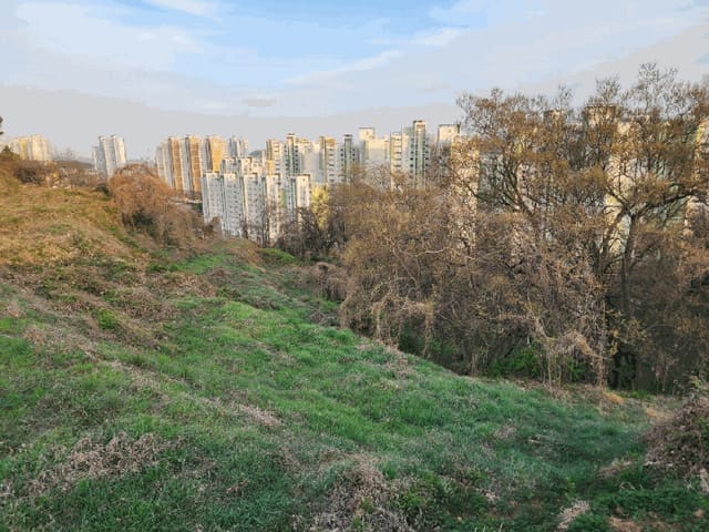 B000420202501300112764.jpg