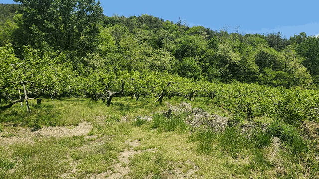 B000420202501300113468.jpg