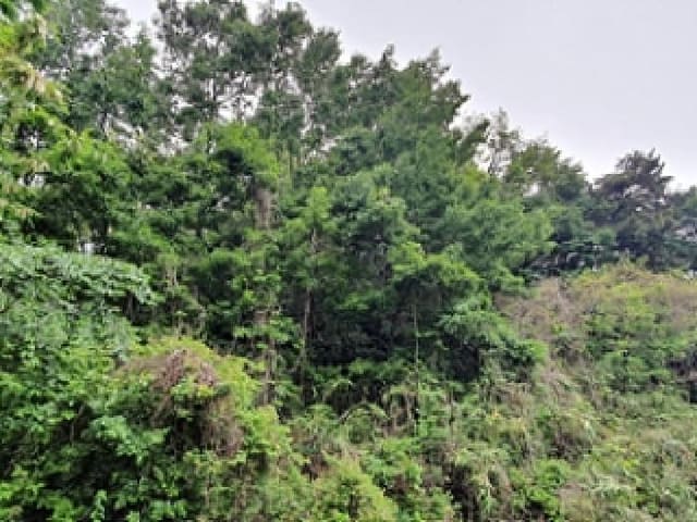 B000420202501300114131.jpg