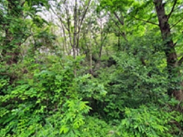 B000420202501300114132.jpg