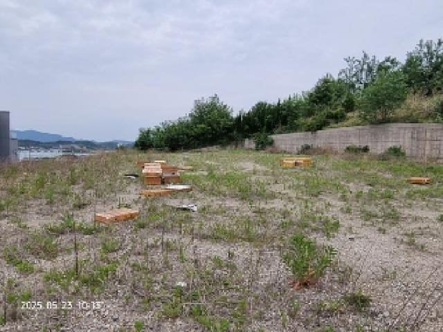 B000420202501300114622.jpg
