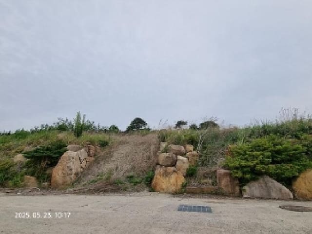 B000420202501300114624.jpg