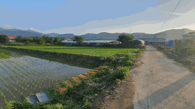 B000420202501300115504.jpg