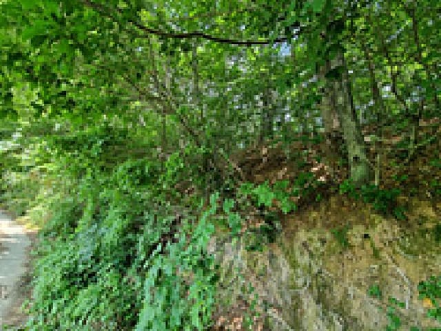 B000420202501300116542.jpg