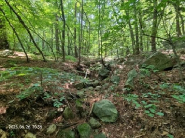 B000420202501300116602.jpg
