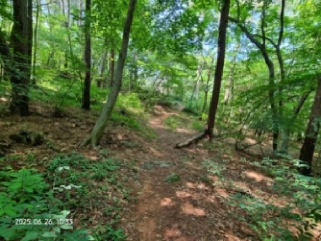 B000420202501300116603.jpg