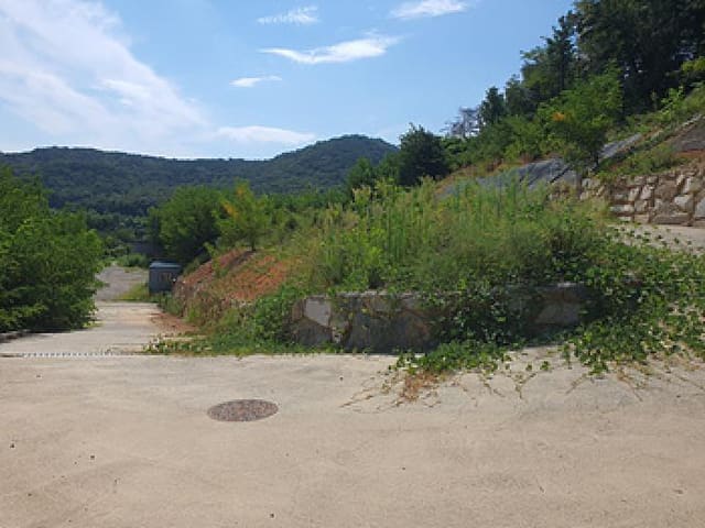 B000420202501300116614.jpg