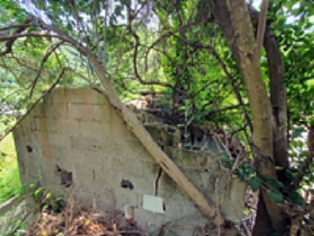 B000420202501300116643.jpg