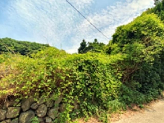 B000420202501300116641.jpg