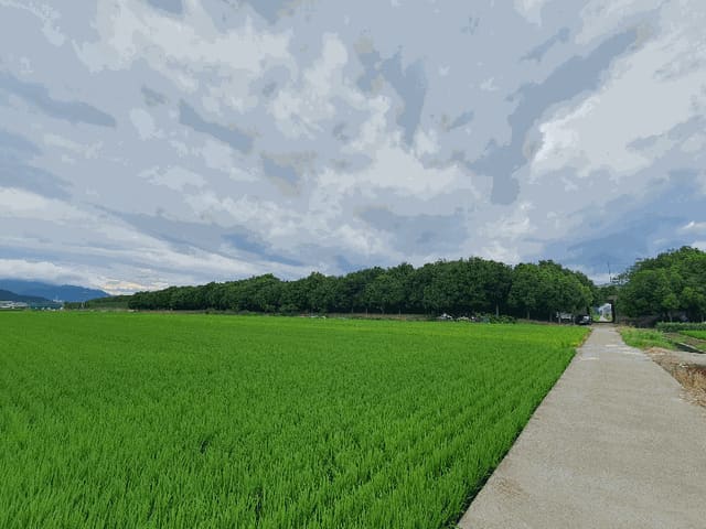 B000420202501300117294.jpg