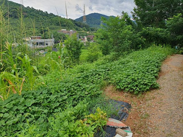B000420202501300117302.jpg