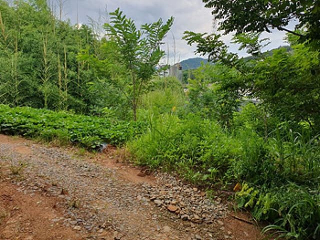 B000420202501300117301.jpg