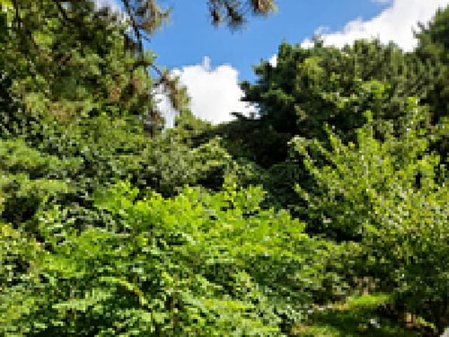 B000420202501300117391.jpg