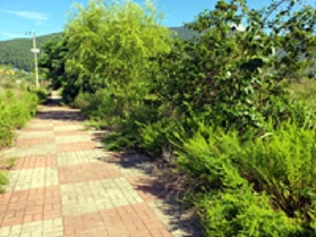 B000420202501300117472.jpg