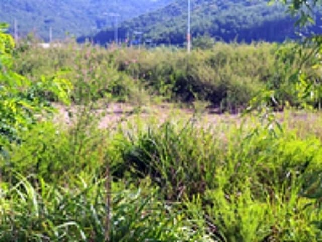B000420202501300117471.jpg