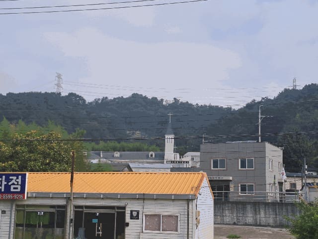 B0004202025013001175229.jpg