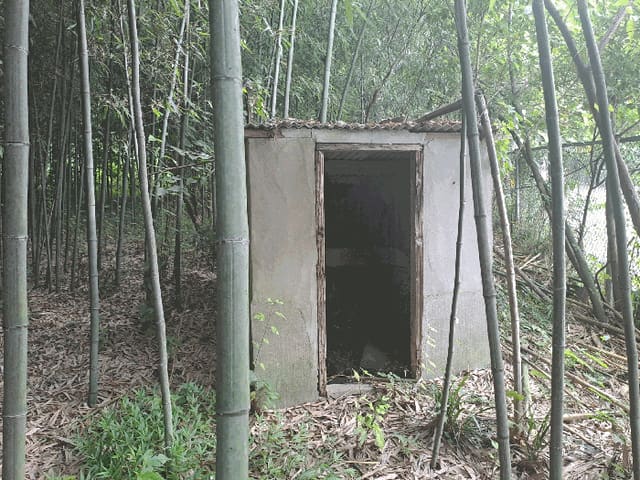 B0004202025013001175226.jpg